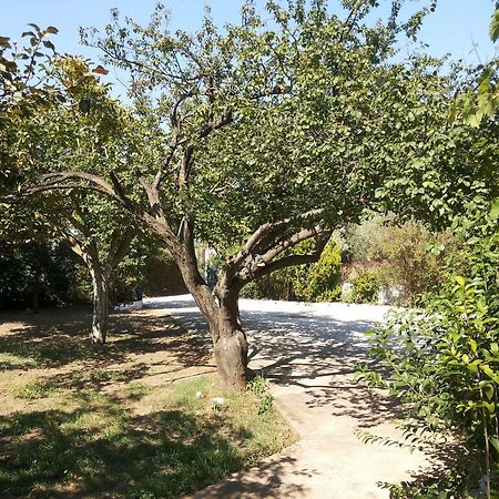 Rastoni Guest House Skopelos Kültér fotó