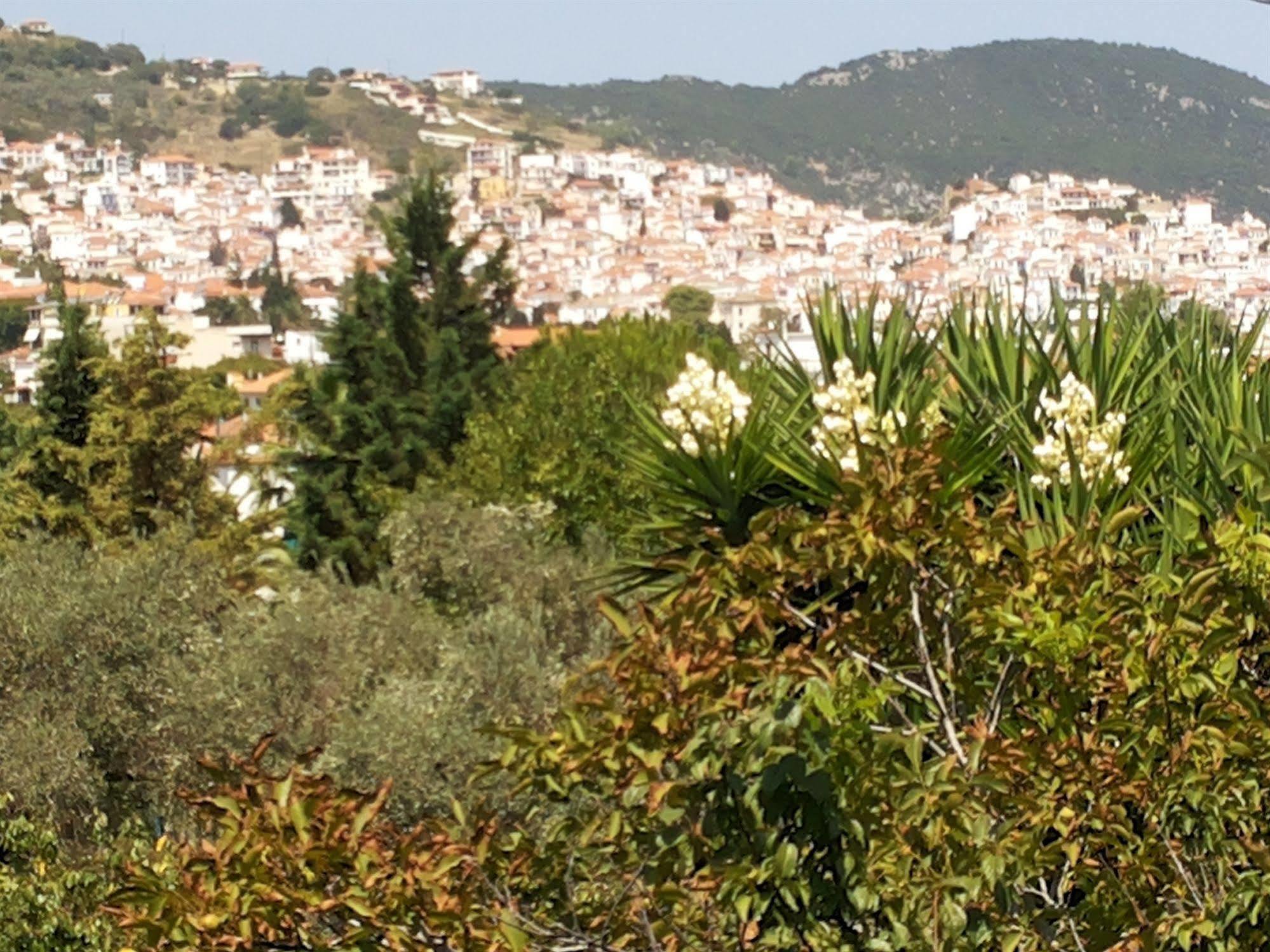 Rastoni Guest House Skopelos Kültér fotó