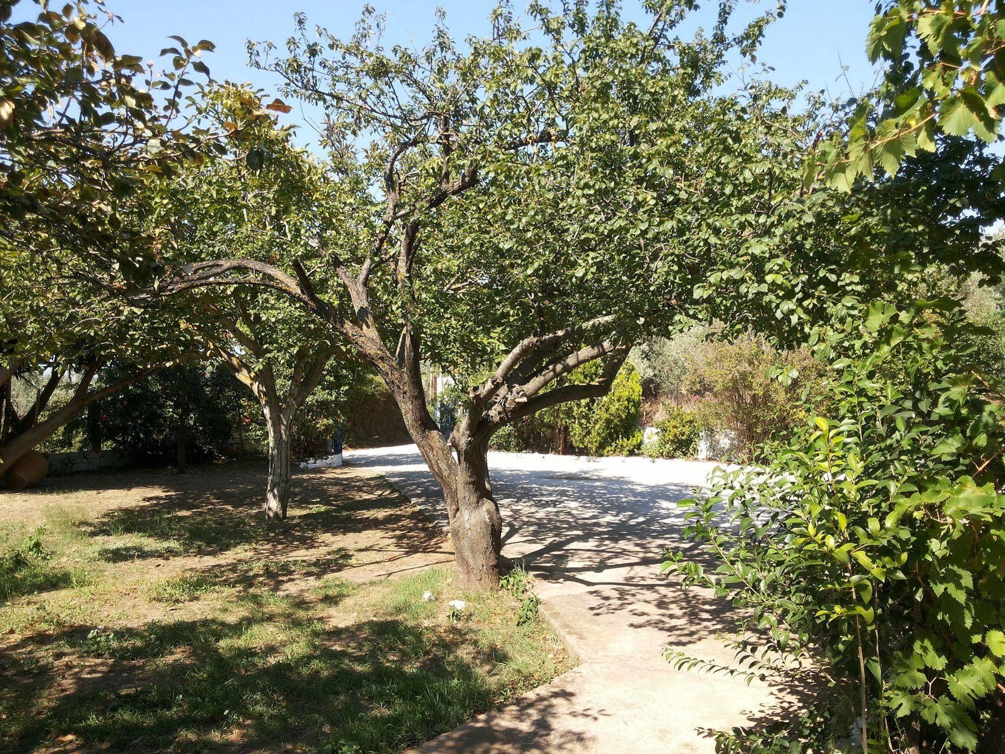Rastoni Guest House Skopelos Kültér fotó